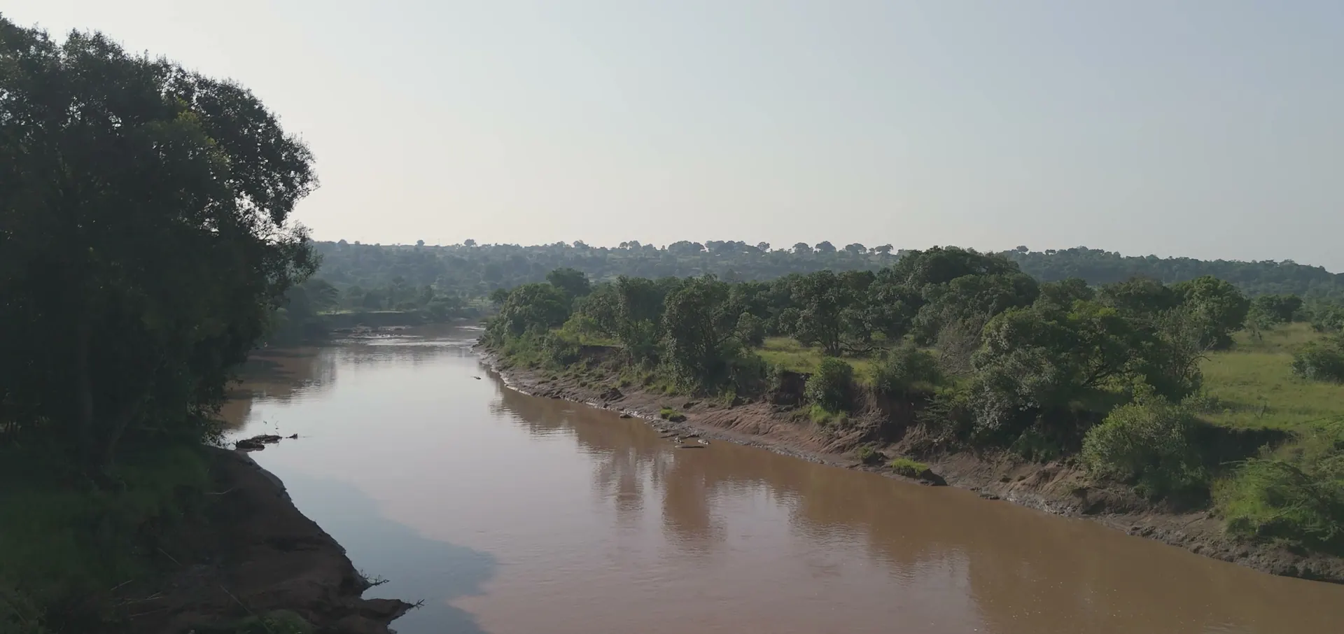 The Mara River in soft morning light, framed by trees on both banks
