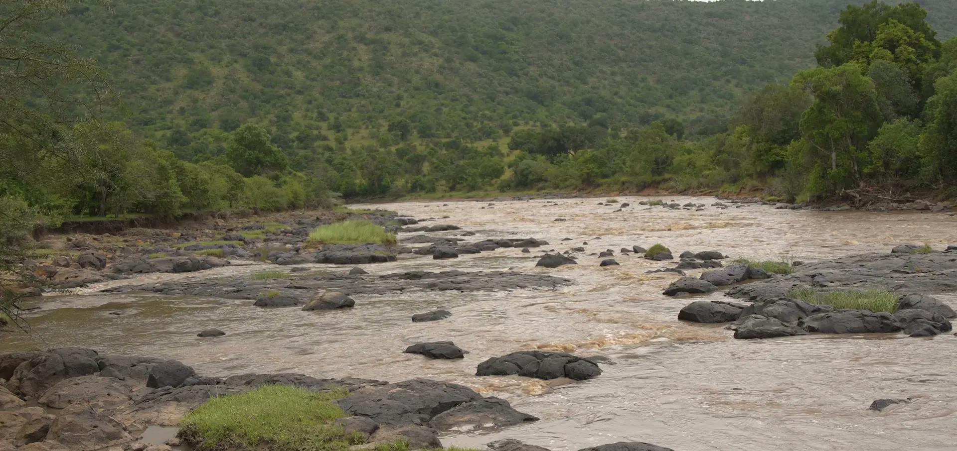 The Mara River running over rocks below a wooded escarpment