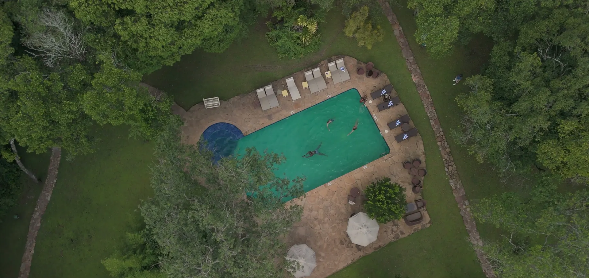 The camp swimming pool surrounded by sunbeds and trees, seen from above
