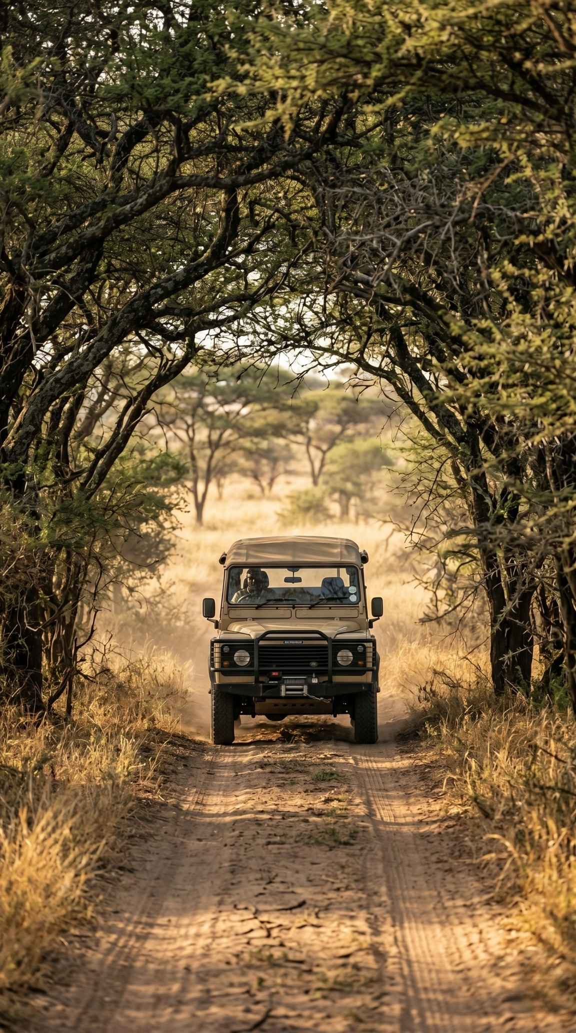 A safari vehicle traveling along a dusty track through the acacia-lined savanna at Exploreans Mara River Camp in the Maasai Mara, Kenya